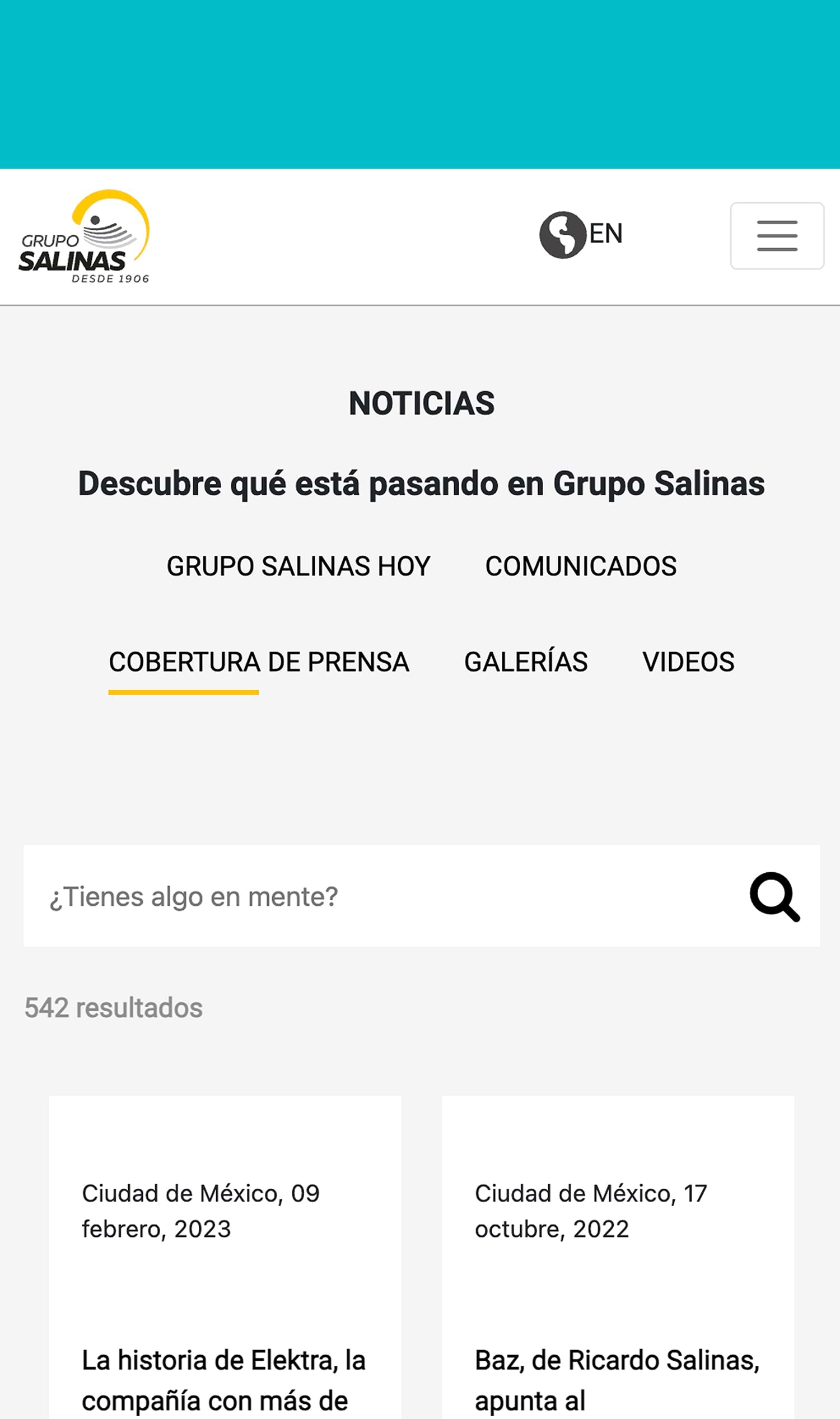Experiencia laboral - Grupo Salinas